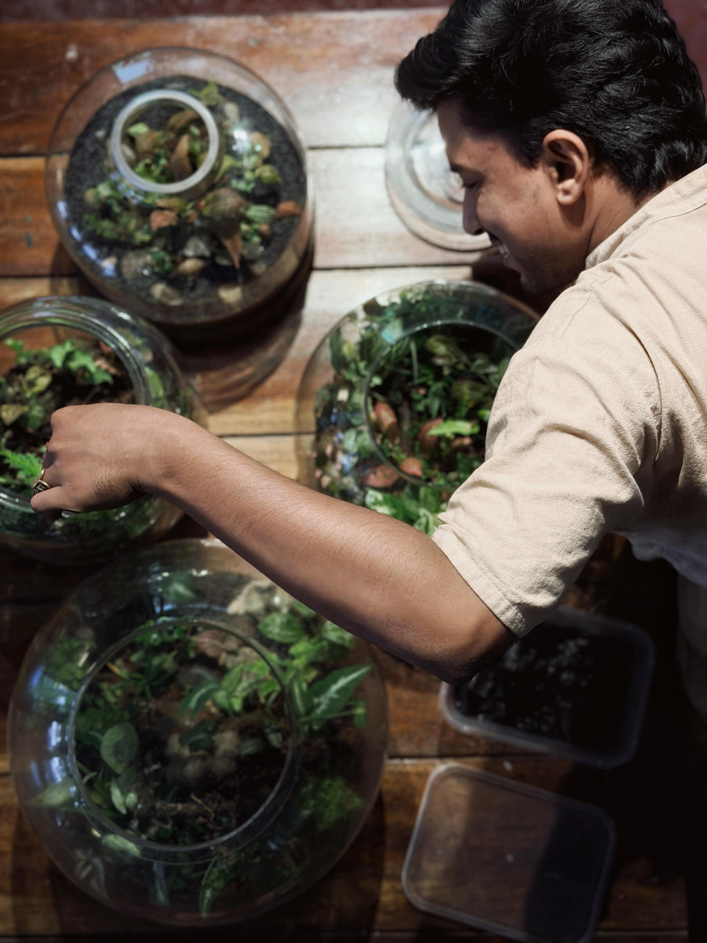 Terrarium Workshop