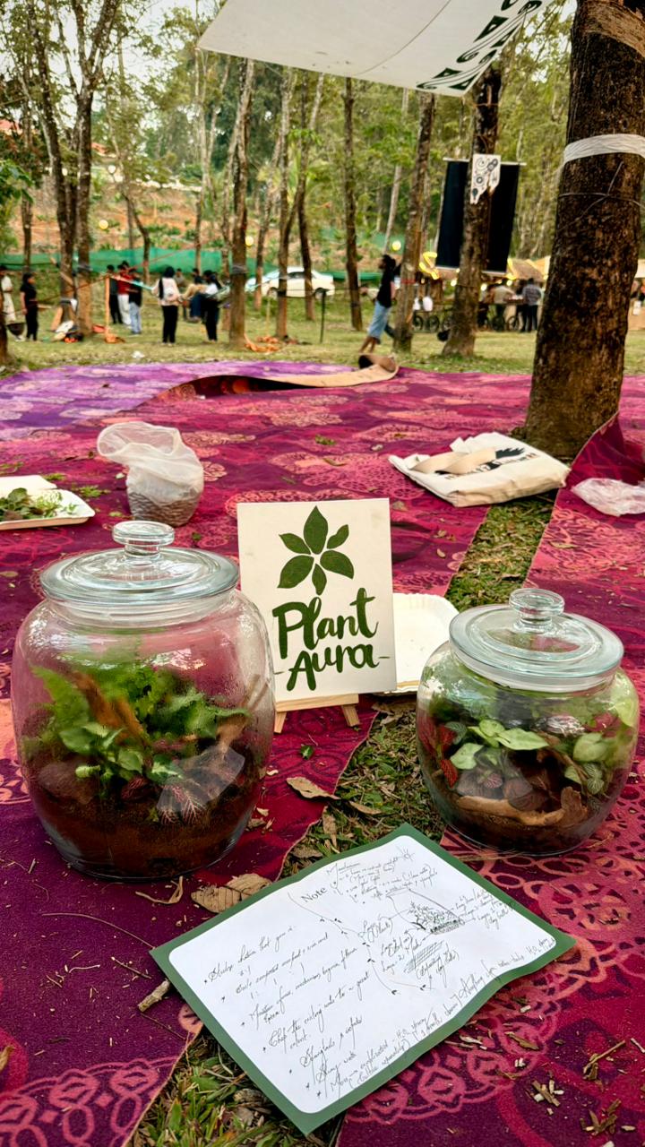 Terrarium Workshop