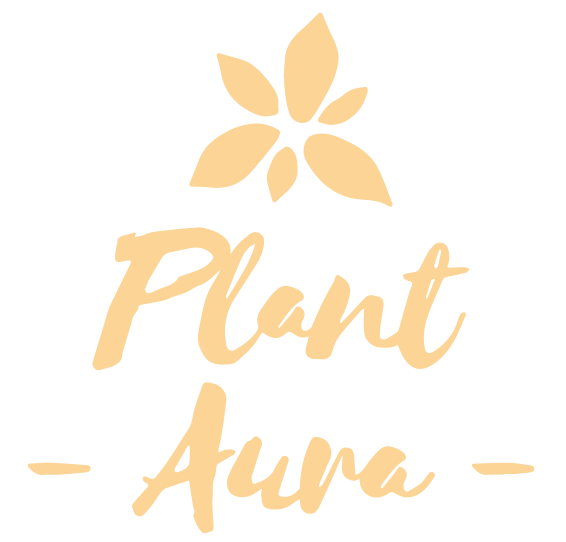 plantauraa